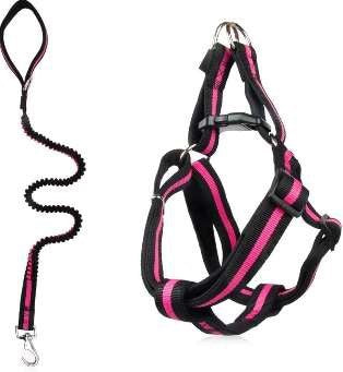Square Multi Colour Leash With Harness