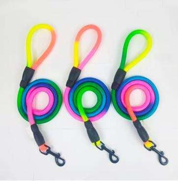 Multi Colour Leash