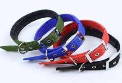 Soft Collar with Buckle