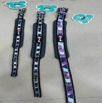 Multi colour Soft Coller With Buckle