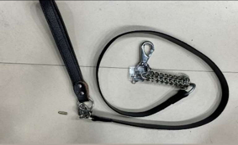 Square Leather leash High with Spring