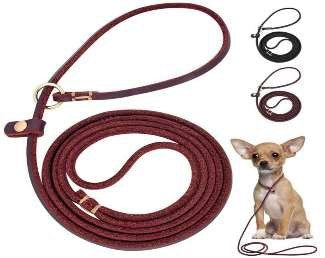 Leather Choke Leash