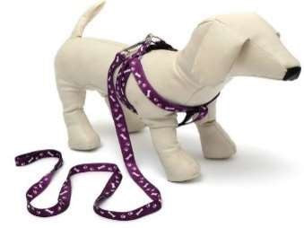 Puppy & Cat Harness (12 Pcs Pack)