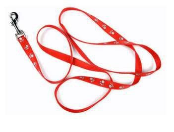 Puppy & Cat Leash