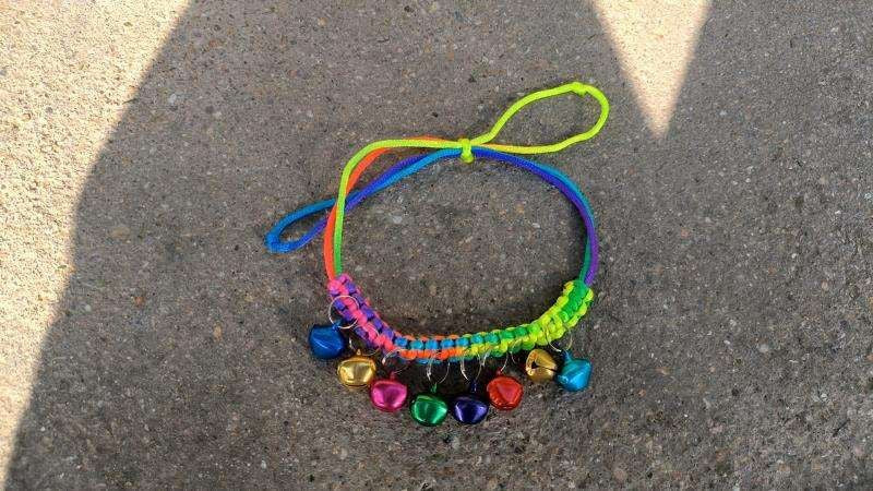 Multi Colour Pet Necklace