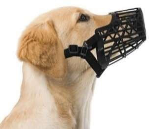 Muzzle Plastic